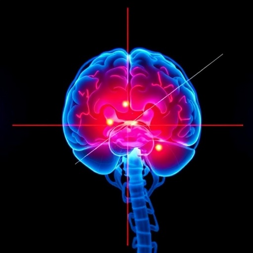 KAIST Creates AI to Detect Early Cerebrovascular Disease Signs at Home