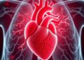 Lipid Regulator Modulates Sonic Hedgehog Pathway, Shaping Heart and Lungs
