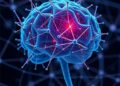 Local Neural Operators Enable Equation-Free Analysis of Complex Systems