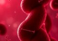 Maternal CDKAL1 Gene Linked to Harmful Offspring Growth Patterns