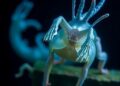 Microplastics Found 2,000 Meters Deep in Hydrothermal Vent Animals