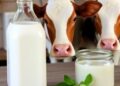 Milk’s Nutritional Profile Changes With Production Methods and Seasons
