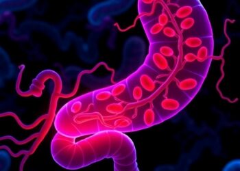 Mitochondrial Dysfunction and Mitophagy: How They Evolve in Necrotizing Enterocolitis