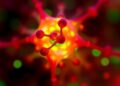 Nagoya Institute Scientists Identify Molecular Basis of Red-Green Color Vision