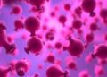 Neonatal Monocyte Iron Handling Drives Immunometabolic Responses in Sepsis