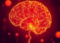 Neuroscape and Samsung Collaborate to Study Cognitive Changes Over Time