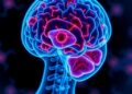 New Advances in ALS and Alzheimer’s Treatments