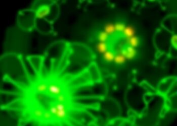 New Cell Imaging Technique Illuminates Previously Hidden Cellular Blind Spots