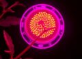 New Fluorescent Sensor Quickly Detects Pesticide Phoxim Visually