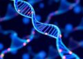 New Genetic Screen Advances Understanding of Human Development