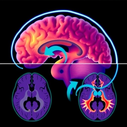 New Guidelines Released for Prolactinoma Treatment by Chinese Neurosurgical Journal