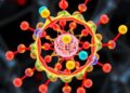 New “HULU” framework bridges atomistic foundation models and molecular simulations to accelerate clean energy materials discovery