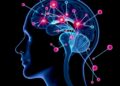 New Imaging Technology Reveals Cellular Origins of Alzheimer’s, Parkinson’s, and ALS