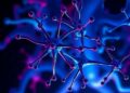 New Insights into Immune Checkpoints’ Role in Controlling Inflammation