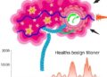 New Model Uncovers Hidden Disease Signals and Predicts Health Outcomes