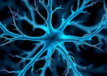 New imaging reveals nerves with stunning clarity
