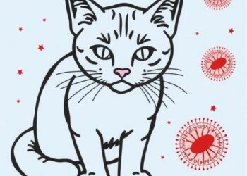 Over Half of NYC Free-Roaming Cats Carry Zoonotic Roundworm Parasites