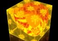 Phase-Uniform Mixed-Halide Perovskites Enable Stable Tandem Solar Cells