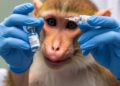 Promising New HIV Vaccine Shows Remarkable Success in Primate Trials — Biology