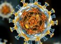 ROS Dynamics Controlled by Polyoxometalate-Functionalized Fe3O4 Nanozyme for Infected Wound Healing