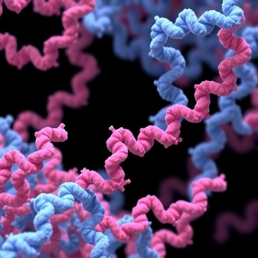 Rational Design of Disordered Proteins Enables Sequence-Function Investigation