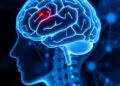 Research spotlight: A new standard to better align implantable brain devices with users’ needs