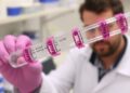 Researchers Challenge Overestimated Cyclization Efficiency in Small Restriction Enzyme-Digested DNA Fragments