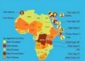 Roadkill Threatens Species Most in Poor Countries — Technology and Engineering