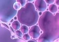 Scientists Decode Glass-Like Properties of Epithelial Tissues