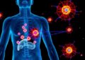 Scientists Reveal How Macrophages Age Differently Across the Body