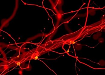 Scientists at UMass Chan Medical School develop microRNA-based gene therapy that halts ALS progression in mice