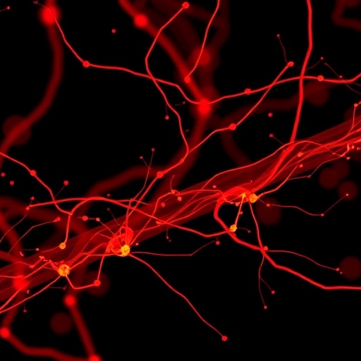 Scientists at UMass Chan Medical School develop microRNA-based gene therapy that halts ALS progression in mice