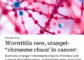 Scientists untangle ‘chromosome chaos’ in cancer and uncover 81 hidden genes driving the hardest-to-treat breast cancer