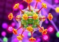 Self-Adaptive Cu–Co Catalyst Rebuilds Itself to Turn Nitrate into Green Ammonia