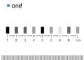 Sequential reading of a stepwise-shortened peptide immobilized on nanopore
