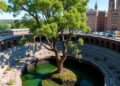 Sinkholes shield endangered trees but impose evolutionary risks, study finds
