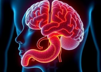 Stomach Signals Help Brain Build Memories, New Study Reveals