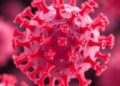 Structure-Guided PCSK9 Vaccine Demonstrates Promising Preclinical Results