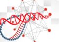 Structure-alignment-driven cross-graph modeling for functional RNA design