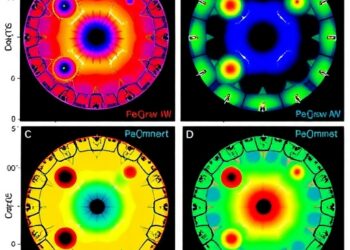 Study Maps Photogenerated Hole Evolution During Separation and Transfer in Photocatalysis
