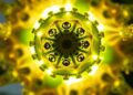 Study Shows Oxygenic Photosynthesis Possible Using Only One Photosystem