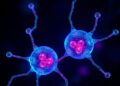Substrate-Free Photosensitizer Radical Pairs Enable Hypoxia-Tolerant Multipath Photoredox Therapy