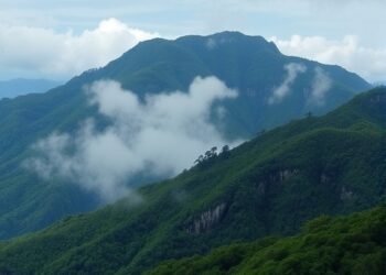 Terrain diversity shapes carbon storage in Brazil’s Atlantic Forest