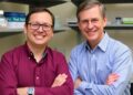 UW Chemists Develop New Approach to Improve Electron Transfer Selectivity