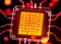 Ultrathin Multi-Gate Organic Electrochemical Transistors Enable Wearable Multi-Analyte Sensing
