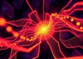 UniFFBench Benchmarks Universal Machine Learning Force Fields Using Experimental Data