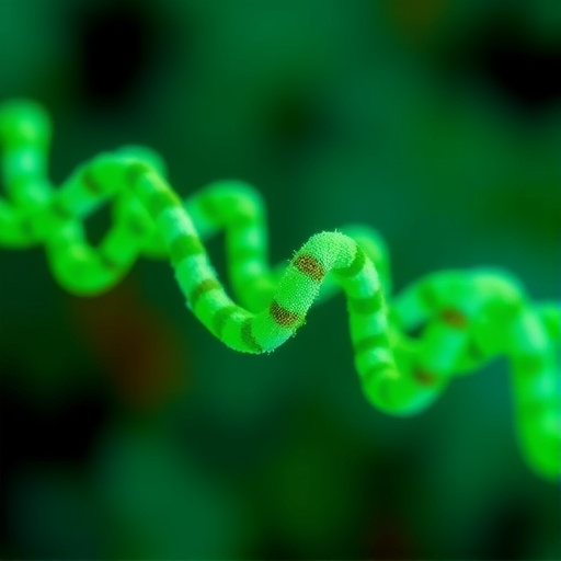 Versatile On-Support Phosphitylation Enables Efficient Oligonucleotide Functionalization