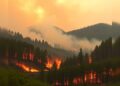 WVU engineers create AI to accelerate wildfire satellite tracking