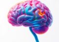 Hesperidin protects against aluminium-related brain damage, reducing inflammation and oxidative stress