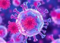 3D Genome Mapping of Rare Immune Cells Uncovers New Crohn’s Disease Genes
